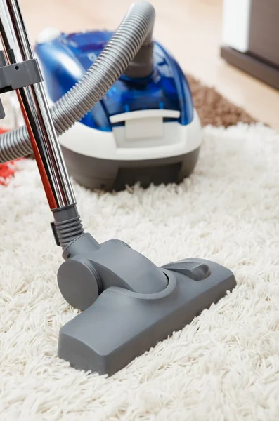 Norman Steamers Cleaners - Carpet Cleaning in Venice, CA