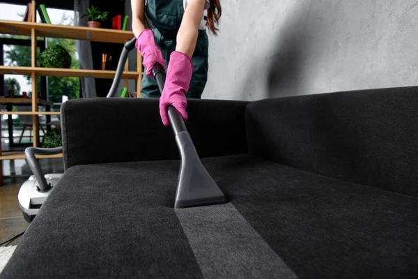Pet Stain Removal